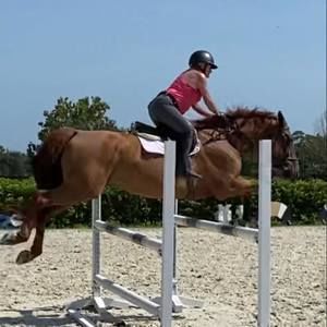 Meet your Posher, Denise